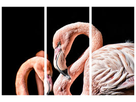 3-piece-canvas-print-magnificent-flamingos