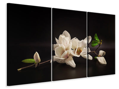 3-piece-canvas-print-magnolia