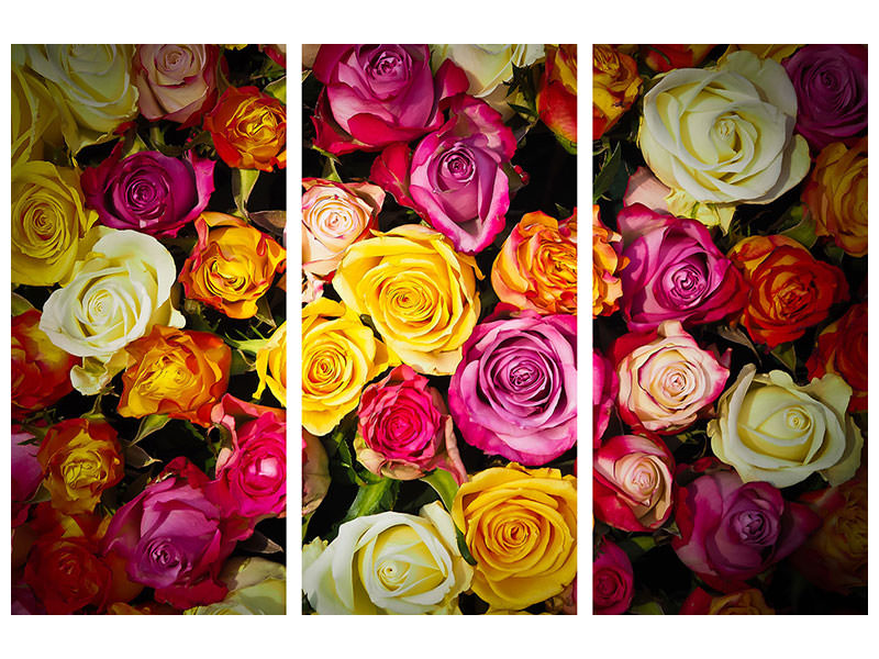3-piece-canvas-print-many-colorful-rose-petals
