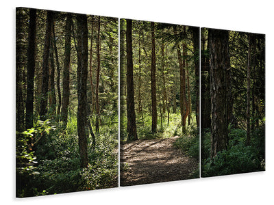 3-piece-canvas-print-many-trees