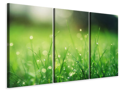 3-piece-canvas-print-meadow-with-morning-dew