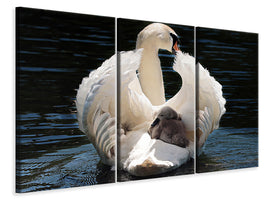 3-piece-canvas-print-mom-and-baby-swan