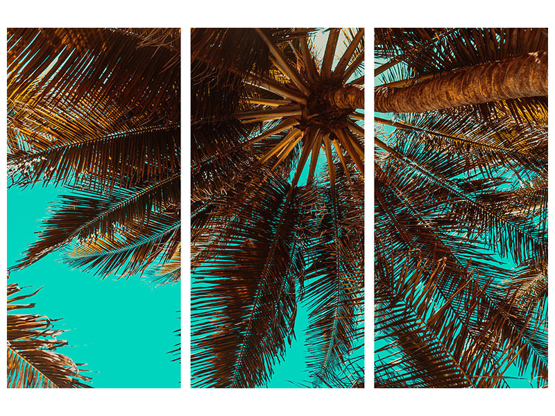 3-piece-canvas-print-my-place-under-the-palm-trees