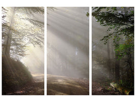 3-piece-canvas-print-mystical-light-in-the-forest