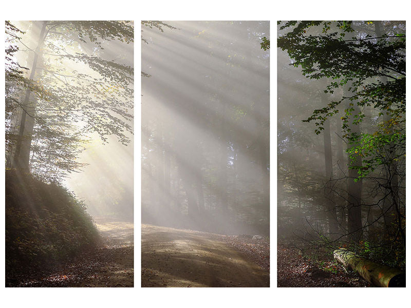 3-piece-canvas-print-mystical-light-in-the-forest