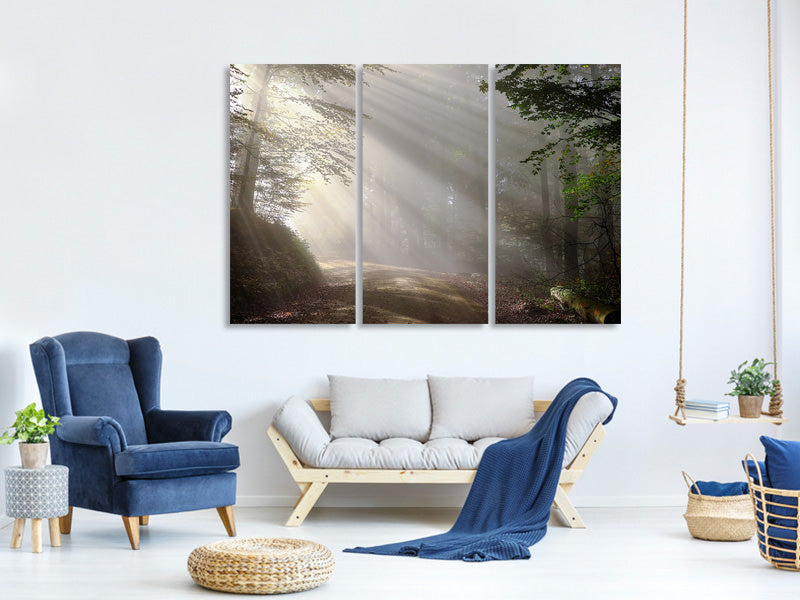 3-piece-canvas-print-mystical-light-in-the-forest