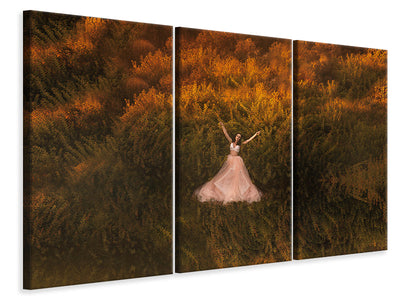 3-piece-canvas-print-natalia-in-the-field