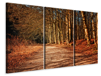3-piece-canvas-print-nature-in-autumn