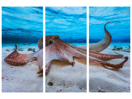 3-piece-canvas-print-octopus