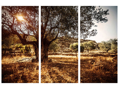 3-piece-canvas-print-olive-grove