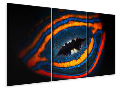 3-piece-canvas-print-orange-lined-triggerfish
