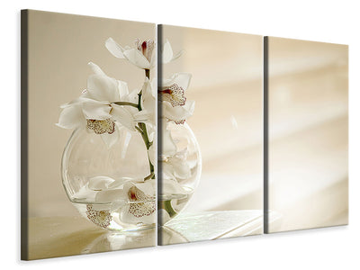 3-piece-canvas-print-orchid-in-the-glass