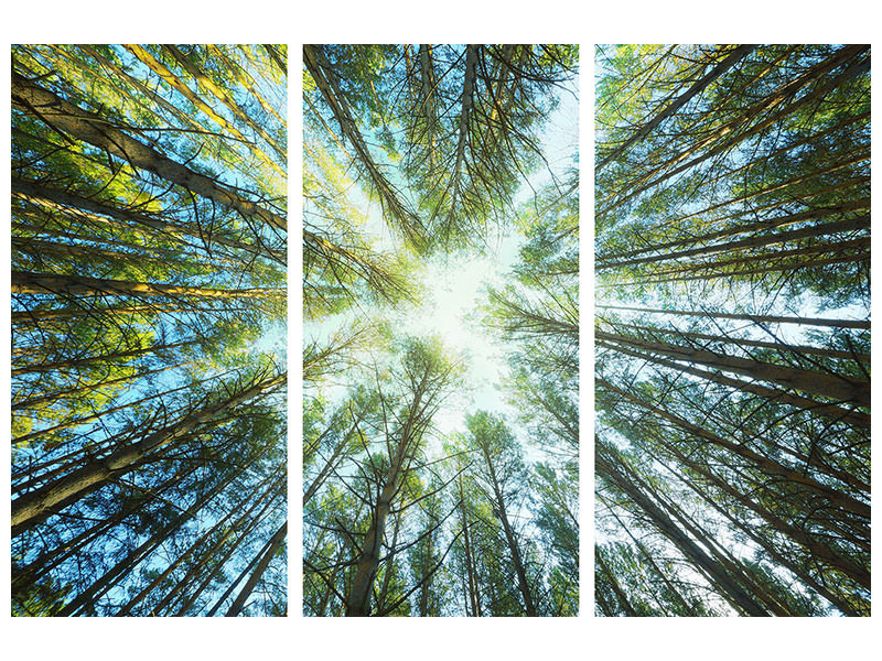 3-piece-canvas-print-pine-forest