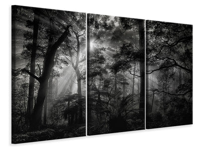 3-piece-canvas-print-primary-forest