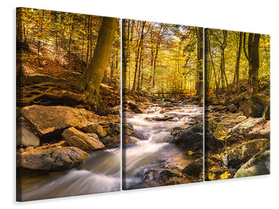 3-piece-canvas-print-real-nature-beauty