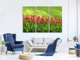 3-piece-canvas-print-red-tulip-field-in-the-sunlight