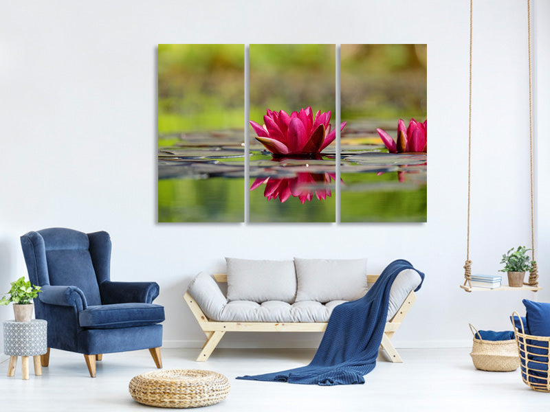 3-piece-canvas-print-red-water-lily-duo
