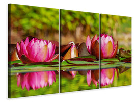 3-piece-canvas-print-red-water-lily-trio