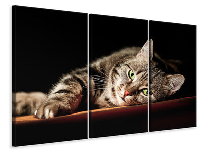 3-piece-canvas-print-relaxed-cat