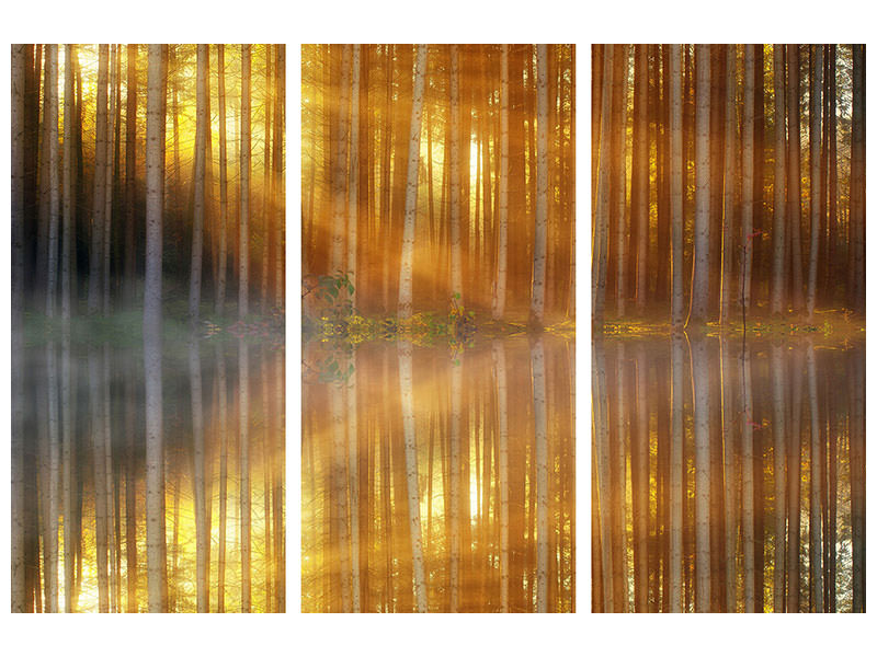 3-piece-canvas-print-romantic-mood-in-the-forest