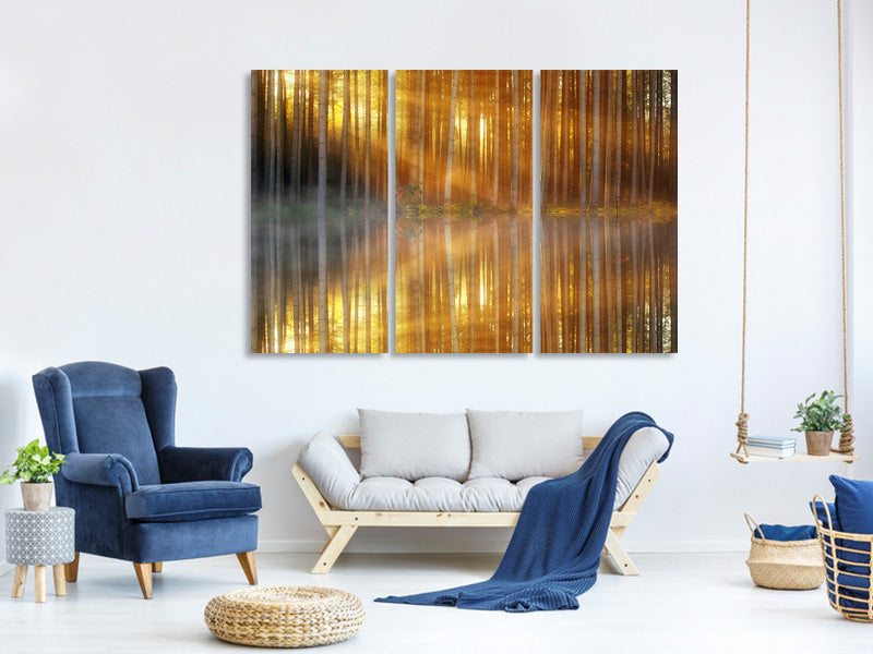 3-piece-canvas-print-romantic-mood-in-the-forest