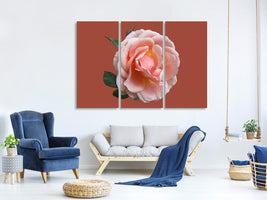 3-piece-canvas-print-rose-in-pink-xxl-ii