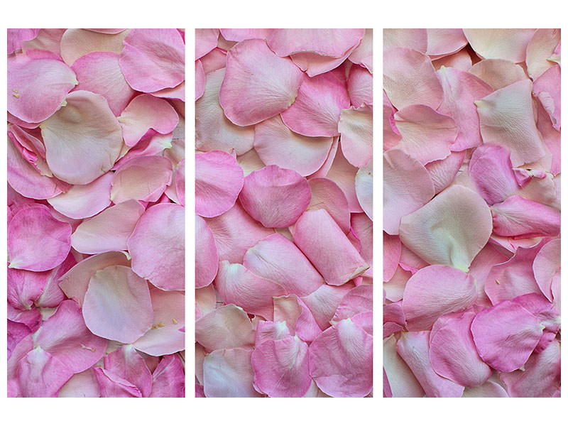 3-piece-canvas-print-rose-petals-in-pink-ii