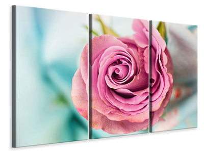 3-piece-canvas-print-roseblossom-in-pink