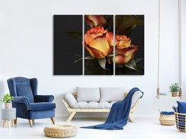 3-piece-canvas-print-roses-of-the-romance