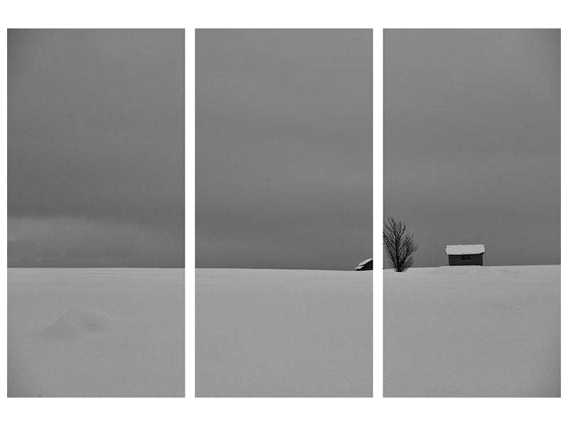 3-piece-canvas-print-snow-fields