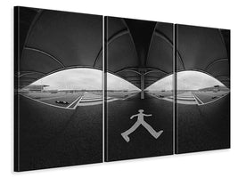 3-piece-canvas-print-so-lonely