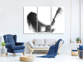 3-piece-canvas-print-solo