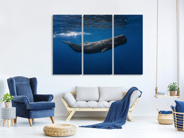 3-piece-canvas-print-sperm-whale
