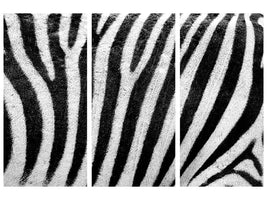 3-piece-canvas-print-strip-of-the-zebra
