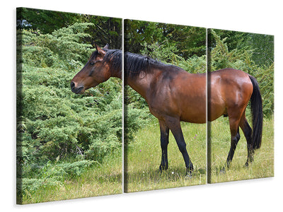 3-piece-canvas-print-strong-horse
