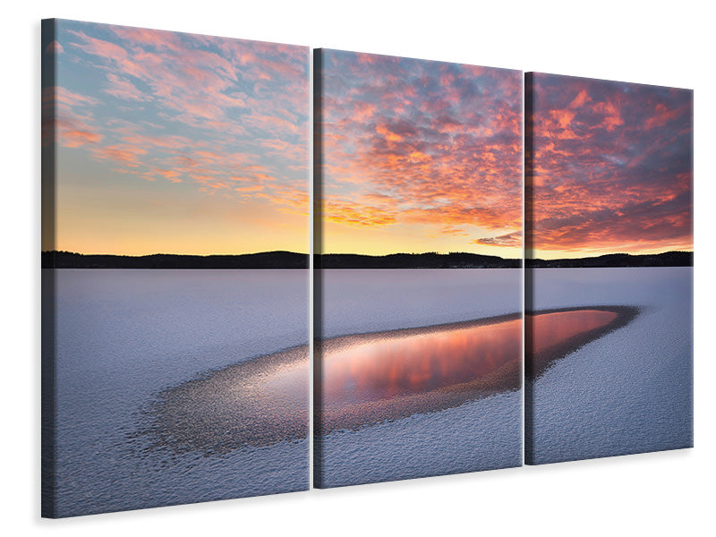 3-piece-canvas-print-sublime