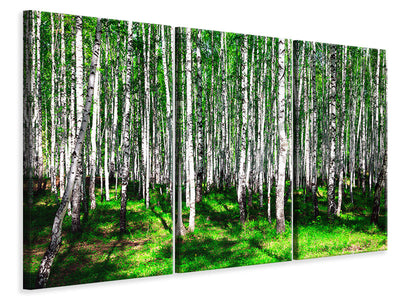 3-piece-canvas-print-summerly-birch-forest