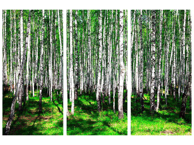 3-piece-canvas-print-summerly-birch-forest