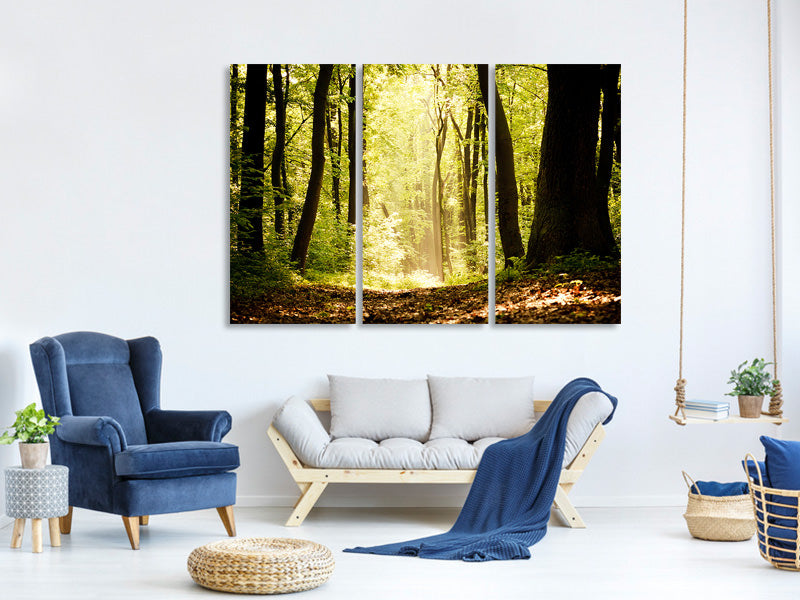 3-piece-canvas-print-sunrise-in-the-forest