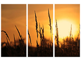 3-piece-canvas-print-sunrise-on-the-field