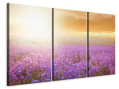3-piece-canvas-print-sunset-in-lavender-field