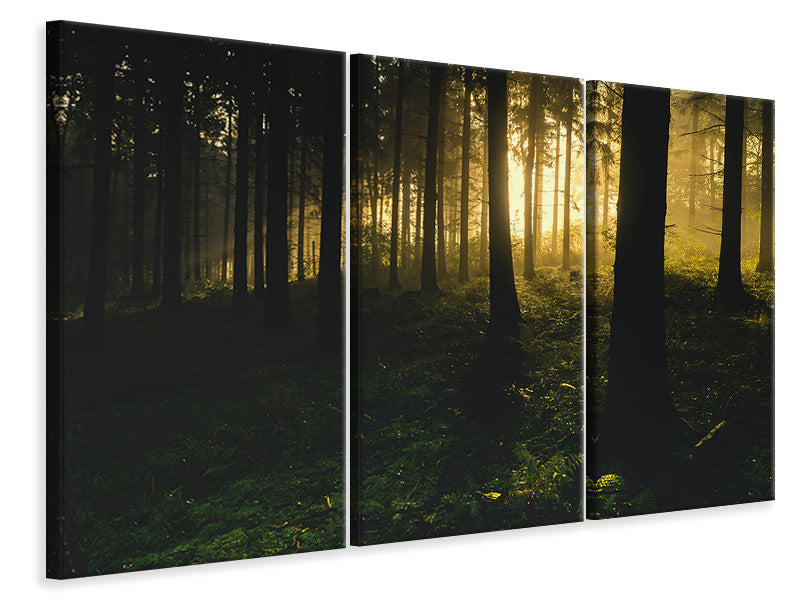3-piece-canvas-print-sunset-in-the-forest