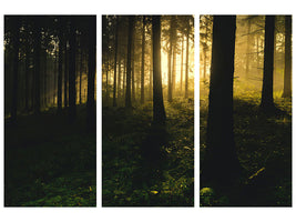 3-piece-canvas-print-sunset-in-the-forest