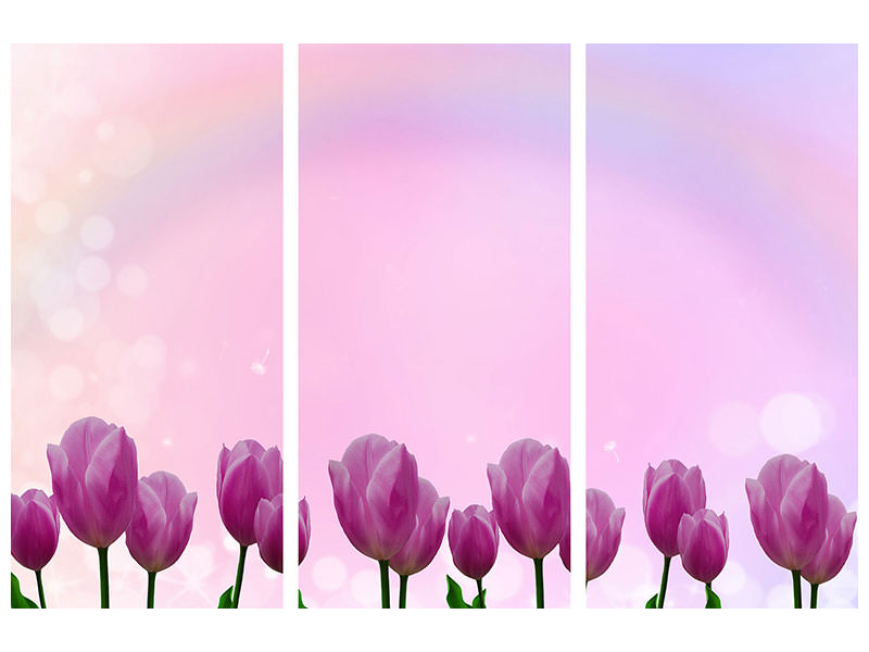 3-piece-canvas-print-sweet-tulips