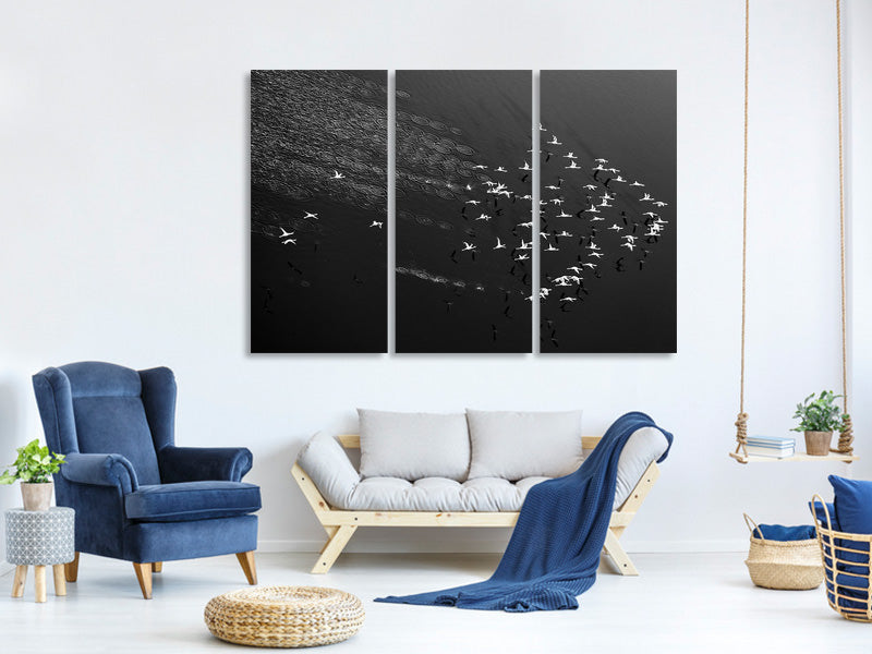 3-piece-canvas-print-take-off