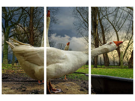 3-piece-canvas-print-the-3-geese