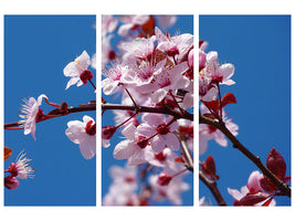 3-piece-canvas-print-the-almond-blossom