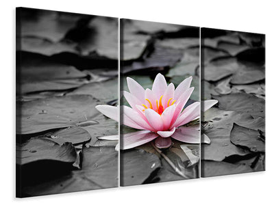 3-piece-canvas-print-the-art-of-water-lily