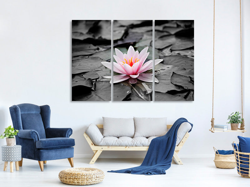 3-piece-canvas-print-the-art-of-water-lily