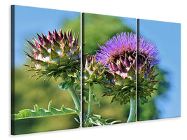 3-piece-canvas-print-the-artichoke-xl